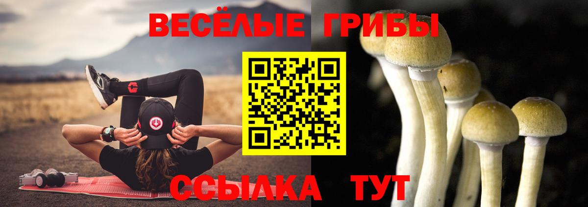 закладка  Вход с VPN  Артём  Галлюциногенные грибы GOLDEN TEACHER 
